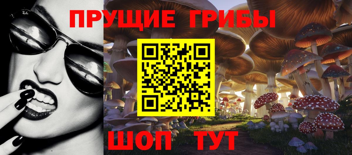 Псилоцибиновые грибы Magic Shrooms Черняховск