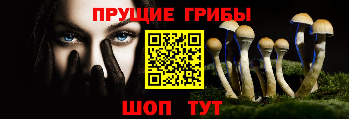 дарнет шоп  Псилоцибиновые грибы Cubensis  Вход с VPN  Черняховск 